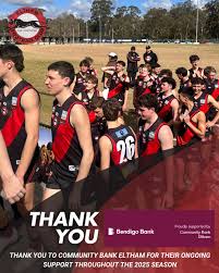 Image result for Eltham Panthers