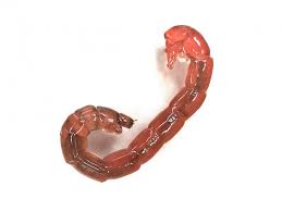 Attēlu rezultāti vaicājumam “Chironomidae larva”