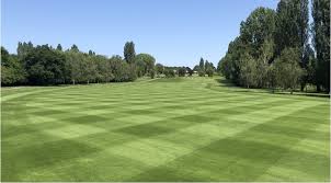 Image result for Ilford Golf Club Limited