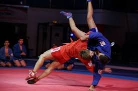 Image result for Combat Sambo