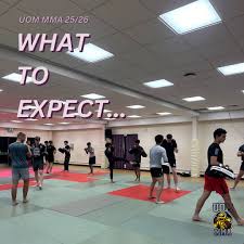 Image result for Manchester University Ninjutsu Society