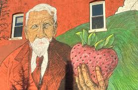 Image result for Strawberry Hill Bowling Club