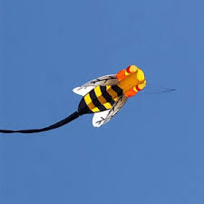 Image result for White Horse Kite Fliers Club