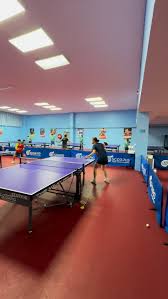 Image result for Scorpions Table Tennis Club