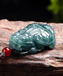 Αποτέλεσμα εικόνας για jade dragon turtle