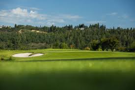 Image result for Windermere Rugby Club