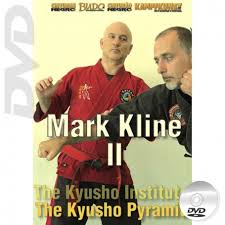 Image result for Pyramid martial arts