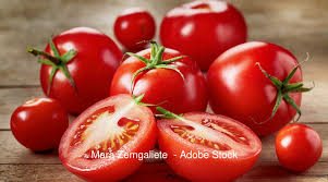 Bildergebnis für tomaten