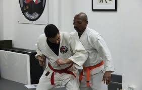 Image result for Ji Shin Do Karate