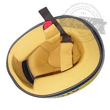 Image result for Berger Yellow 1979 Jaguar