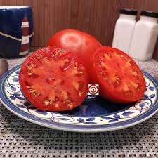 Afbeeldingsresultaat voor cabin tomato