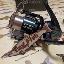 Image result for Cyprinus multitaeniatus