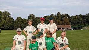 Image result for Selsted Cricket Club
