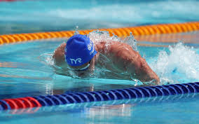 Image result for Gosport Dolphins Swimming Club