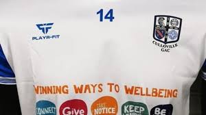 Image result for Culloville Gfc