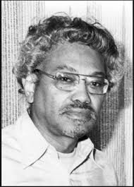 Attēlu rezultāti vaicājumam “Diderma effusum young”