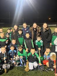 Image result for Parnells Gaelic Football Club