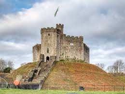 Image result for Cardiff Capitals