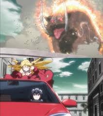 「アリアンナ・ハヤマ・アリアルディ」の画像検索結果