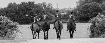 Image result for Taunton Vale Polo Club