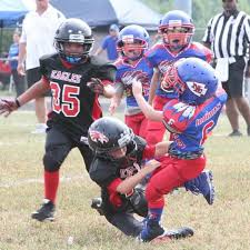 Image result for Manor Colts Youth Football Club