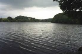 Image result for Reigate & District Angling Association