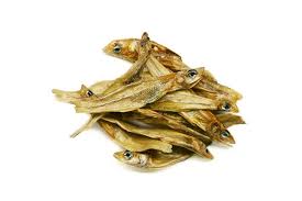 Attēlu rezultāti vaicājumam “Charales”