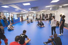 Image result for Great Britain Martial Arts Academy