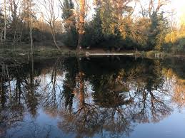 Image result for Becmain Angling Society