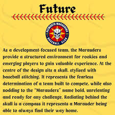 Image result for PLYMOUTH MARINERS BASEBALL CLUB