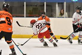 Image result for Streatham Youth Ice Hockey Club