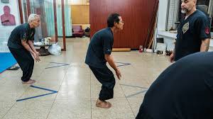 Image result for BARNET and WHETSTONE CHANGQUAN FLYING DRAGON