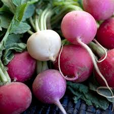 Attēlu rezultāti vaicājumam “Raphanus sativus”