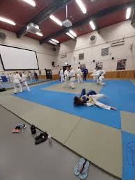 Image result for Rising Sun Judo Club