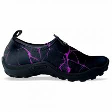 Image result for rosa aquatica