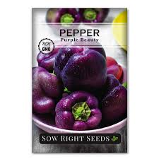 Afbeeldingsresultaat voor purple beauty sweet pepper
