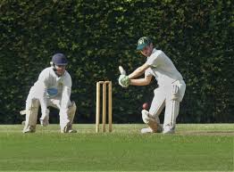 Image result for Abbots Langley Cricket Club
