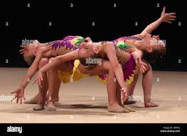 Image result for South Essex Gymnastics Club