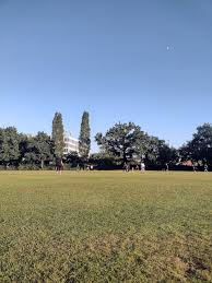 Image result for Three Bridges Cricket Club