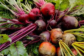 Image result for rote Bete