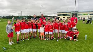 Image result for John Mitchel`s Gaelic Athletic & Social Club