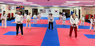 Image result for Dragon Martial Arts Association
