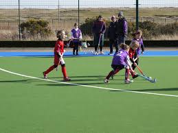 Image result for Ellon Gordon Hockey Club