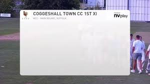 Image result for Woolpit Cricket Club