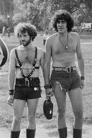 Image result for hot pants 1970