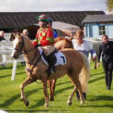 Image result for Llandyrnog Bowls Club