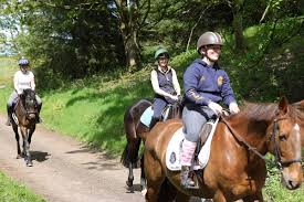 Image result for Scottish Equi Complex
