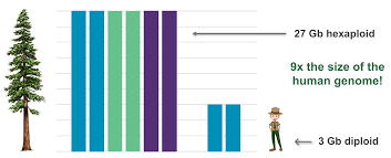 Image result for genome sizes