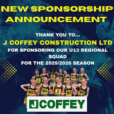 Image result for Camelot Netball Club