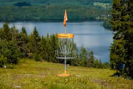 Image result for Bongos Disc Golf Club